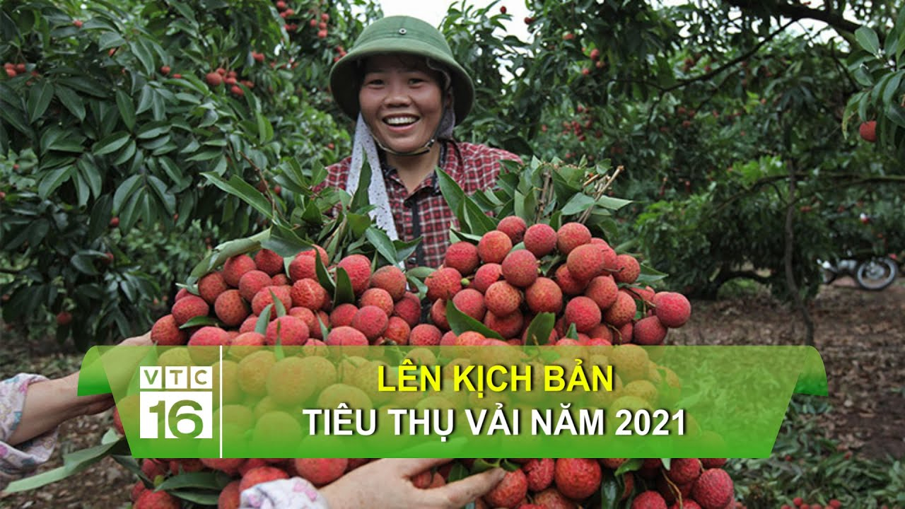 90% người nhầm lẫn: 'Trơ chọi' hay 'trơ trọi'?