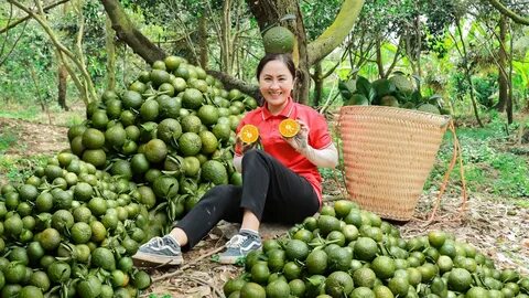 Trực tiếp bóng đá SHB.Đà Nẵng 1-0 Quảng Nam: Văn Long tỏa sáng