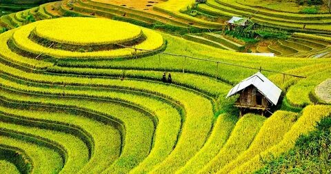 Bunmathan phát biểu làm 'dậy sóng' truyền thông Thái Lan về Quang Hải