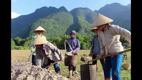 Vì sao thang máy có gương, nhà sản xuất nêu 3 lý do khiến nhiều người bất ngờ